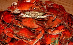 螃蟹是苦是什么原因?螃蟹苦可以吃嗎 螃蟹是苦是什么原因?螃蟹苦可以吃嗎