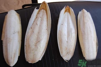 烏賊骨是什么?烏賊骨的功效與作用 烏賊骨是什么?烏賊骨的功效與作用