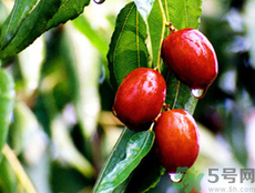 吃新鮮紅棗的好處 新鮮紅棗的功效與作用 吃新鮮紅棗的好處 新鮮紅棗的功效與作用