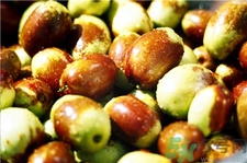 冬棗為什么會(huì)苦?冬棗發(fā)苦是怎么回事? 冬棗為什么會(huì)苦?冬棗發(fā)苦是怎么回事?