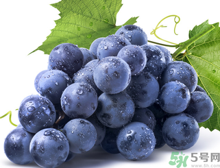 新鮮葡萄怎么保存？新鮮葡萄怎么保鮮？