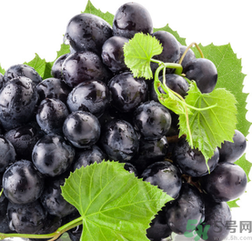 新鮮葡萄怎么保存？新鮮葡萄怎么保鮮？