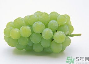 新鮮葡萄能放冰箱嗎？新鮮葡萄的保存方法