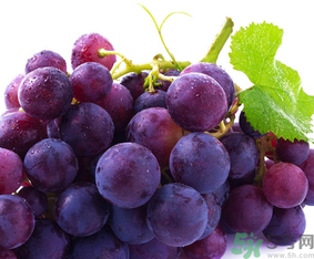 新鮮葡萄能放冰箱嗎？新鮮葡萄的保存方法