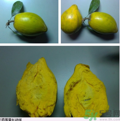 雞蛋果和百香果的區(qū)別 雞蛋果和百香果一樣嗎 雞蛋果和百香果的區(qū)別 雞蛋果和百香果一樣嗎