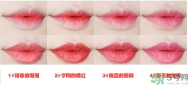 悅詩(shī)風(fēng)吟水韻凝采唇膏價(jià)格 悅詩(shī)風(fēng)吟水韻凝采唇膏怎么用？