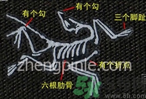 始祖鳥(niǎo)沖鋒衣真假怎么辨別?始祖鳥(niǎo)沖鋒衣真假鑒別圖 始祖鳥(niǎo)沖鋒衣真假怎么辨別?始祖鳥(niǎo)沖鋒衣真假鑒別圖