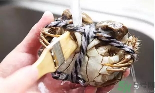 綁好的大閘蟹怎么清洗?綁好的螃蟹怎么洗? 綁好的大閘蟹怎么清洗?綁好的螃蟹怎么洗?