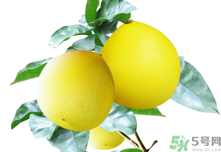 柚子一天最多吃多少？柚子一次吃多少合適？