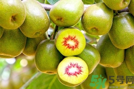 獼猴桃紅心黃心綠心哪個(gè)最好？黃心獼猴桃和紅心獼猴桃的區(qū)別