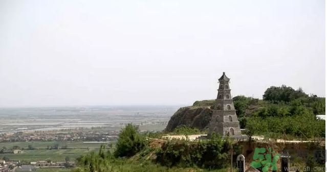 大荔冬棗多少錢一斤?大荔冬棗價格 大荔冬棗多少錢一斤?大荔冬棗價格