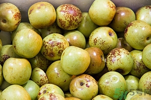 糖精冬棗怎么辨認(rèn)？糖精棗的鑒別方法