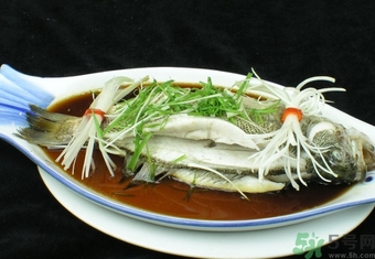 鱸魚是淡水魚還是海水魚？鱸魚是海魚嗎？