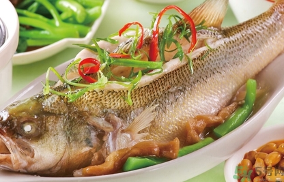 鱸魚(yú)和桂魚(yú)哪個(gè)好吃？鱸魚(yú)和桂魚(yú)的區(qū)別