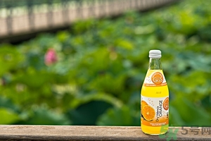 小蘇打能治癌癥嗎？蘇打水可以治癌癥嗎？