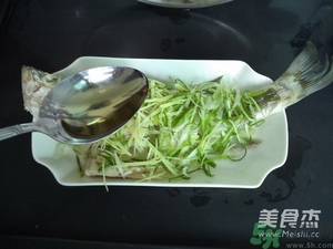 鱸魚蒸多長時(shí)間？鱸魚怎么蒸？