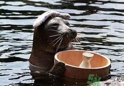 泡溫泉需要注意什么？泡溫泉注意事項(xiàng)