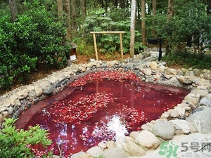 溫泉度假村哪里好？泡溫泉去哪里最好？