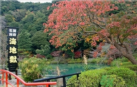 溫泉度假村哪里好？泡溫泉去哪里最好？