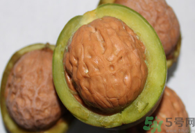 干核桃和濕核桃哪個好？干核桃和濕核桃的區(qū)別