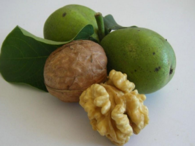 生核桃怎么保存？生核桃怎么保存最好？