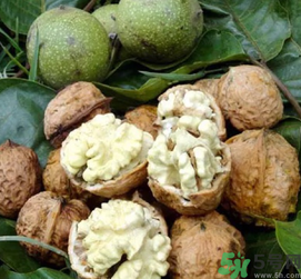 新鮮核桃吃多了會(huì)怎么樣？新鮮核桃吃多了會(huì)上火嗎？