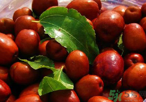 孕婦能吃新鮮紅棗嗎？新鮮紅棗孕婦可以吃嗎？