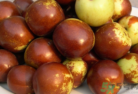 孕婦能吃新鮮紅棗嗎？新鮮紅棗孕婦可以吃嗎？