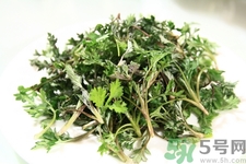 茼蒿孕婦能吃嗎?孕婦吃茼蒿有什么好處 茼蒿孕婦能吃嗎?孕婦吃茼蒿有什么好處