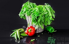 茼蒿孕婦能吃嗎?孕婦吃茼蒿有什么好處 茼蒿孕婦能吃嗎?孕婦吃茼蒿有什么好處