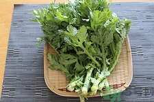 茼蒿孕婦能吃嗎?孕婦吃茼蒿有什么好處 茼蒿孕婦能吃嗎?孕婦吃茼蒿有什么好處