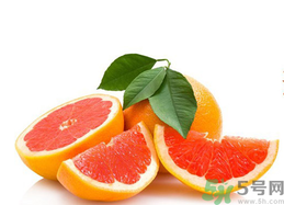 孕婦能吃葡萄柚嗎？孕婦可以吃葡萄柚嗎？
