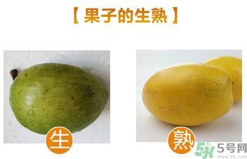 蛋黃果多少錢一斤？蛋黃果什么時候成熟？