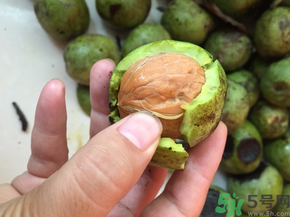 新鮮核桃多少錢一斤？青皮核桃多少錢一斤？