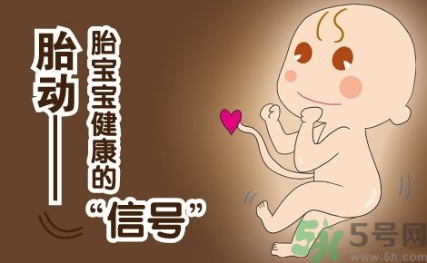 胎動怎么數(shù)最正確？胎動有什么規(guī)律？