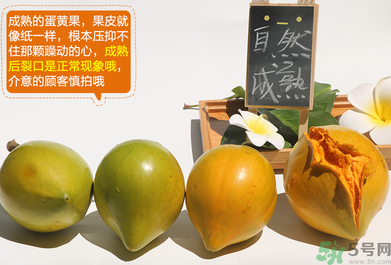 蛋黃果怎么催熟？生的蛋黃果如何催熟？