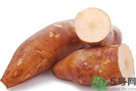 天山雪蓮果的營養(yǎng)價值 天山雪蓮果的功效與作用 天山雪蓮果的營養(yǎng)價值 天山雪蓮果的功效與作用