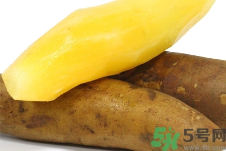 天山雪蓮果的營養(yǎng)價值 天山雪蓮果的功效與作用 天山雪蓮果的營養(yǎng)價值 天山雪蓮果的功效與作用