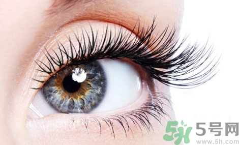 種睫毛后能畫眼線嗎?種睫毛可以畫眼線嗎? 種睫毛后能畫眼線嗎?種睫毛可以畫眼線嗎?