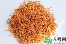 蟲草花的功效與作用 蟲草花的副作用 蟲草花的功效與作用 蟲草花的副作用