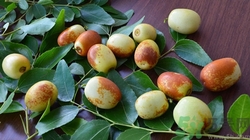 吃冬棗會脹氣嗎?吃冬棗脹氣怎么辦 吃冬棗會脹氣嗎?吃冬棗脹氣怎么辦