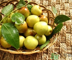 冬棗會打農(nóng)藥嗎?冬棗上的農(nóng)藥怎么處理 冬棗會打農(nóng)藥嗎?冬棗上的農(nóng)藥怎么處理