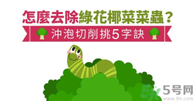 西蘭花里有蟲子怎么辦？花椰菜里面好多蟲怎么辦？