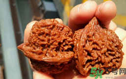 核桃長蟲了還能吃嗎？核桃長蟲子怎么處理？