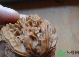 核桃長蟲了還能吃嗎？核桃長蟲子怎么處理？