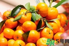 桔子和橘子有什么區(qū)別？桔子柑子橙子的區(qū)別