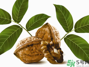 核桃一天吃幾個(gè)合適？核桃一天吃幾個(gè)最好？