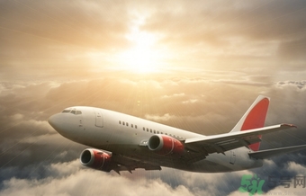 懷孕兩個月可以坐飛機嗎？懷孕兩個月坐飛機注意事項