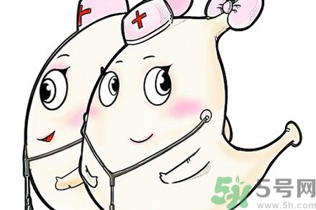 胃會餓小嗎？經(jīng)常肚子餓對胃有什么影響？