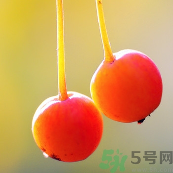 海棠果孕婦能吃嗎？海棠果的功效與作用